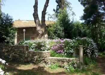 Facciata - Rustico via Aurelia, 2497, Fiumicino - foto 1