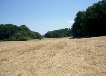 Terreno - Rustico via Aurelia, 2497, Fiumicino - foto 3