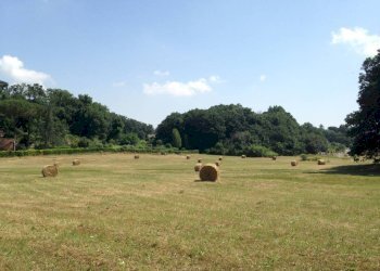 Terreno - Rustico via Aurelia, 2497, Fiumicino - foto 5