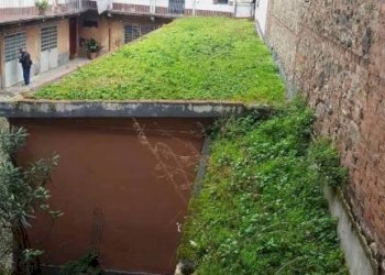 Giardino - Two-room apartment via San Donato, 54, Torino (neighborhood San Donato) - photo 32