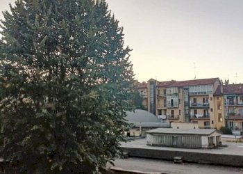 Zona - Four-room apartment via Pietro Palmieri, 48, Torino (neighborhood Cit Turin) - photo 41