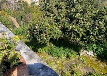 Giardino - Villa via Monte Cuccio, Carini - foto 8