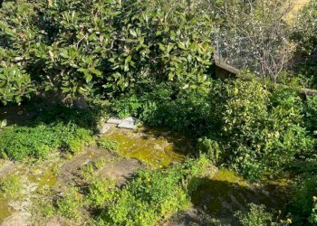 Giardino - Villa via Monte Cuccio, Carini - photo 9