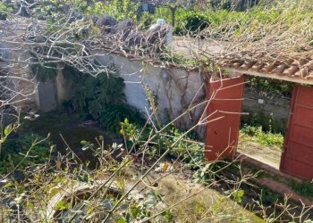 Giardino - Villa via Monte Cuccio, Carini - photo 29