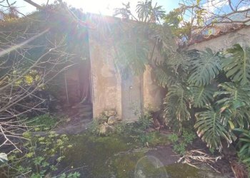 Giardino - Villa via Monte Cuccio, Carini - photo 31