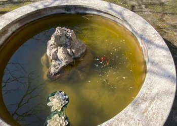 Altro - Villa via Monte Cuccio, Carini - photo 34