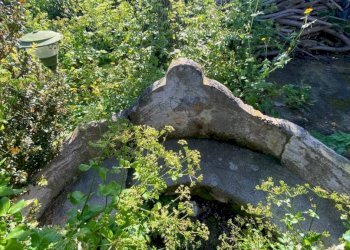 Giardino - Villa via Monte Cuccio, Carini - photo 37