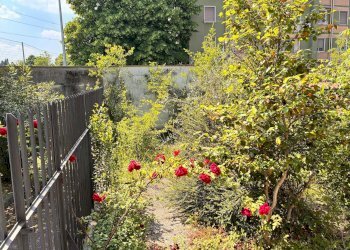 Foto 7 - Villa a Schiera VIA FRATELLI DI DIO
 
323, Sesto San Giovanni - foto 7