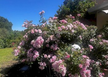 Foto 98 - Villa strada Cassia sud, Viterbo - foto 97
