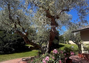 Foto 101 - Villa strada Cassia sud, Viterbo - foto 100