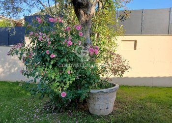 Foto 113 - Villa strada Cassia sud, Viterbo - foto 112