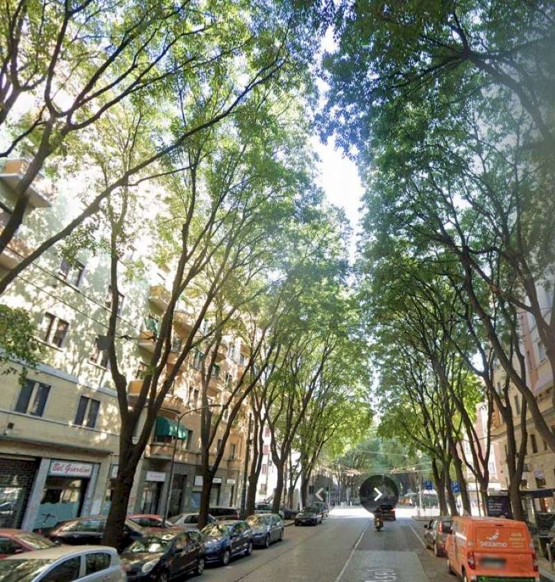 aselli bis - Trilocale via Aselli, 22, Milano (zona Città Studi) - foto 2