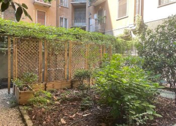 1b2dd254-d589-4b4f-ab4b-e52d5fff01fa - Three-room apartment via Aselli, 22, Milano (neighborhood Città Studi) - photo 36