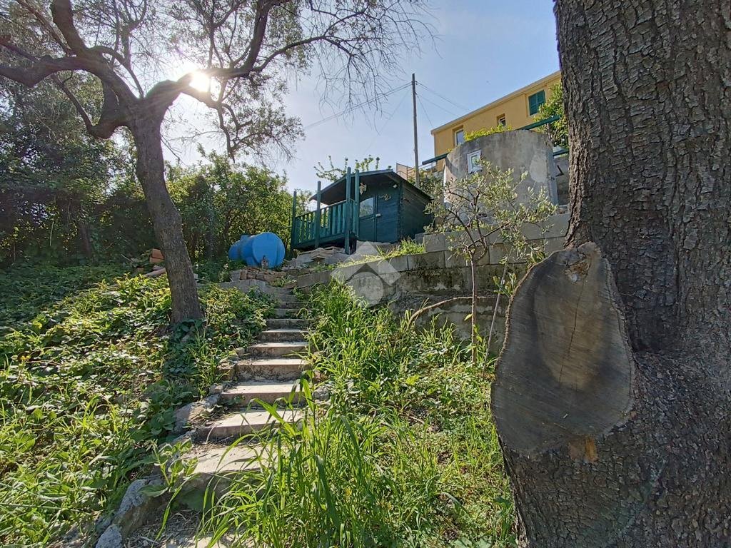 Terreno agricolo Via Privata Rio Massè, Sanremo - foto 2