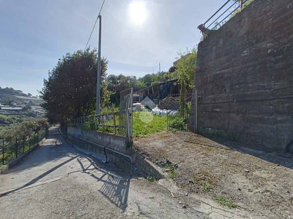 Terreno agricolo Via Privata Rio Massè, Sanremo - foto 3