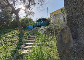Terreno agricolo Via Privata Rio Massè, Sanremo - foto 2