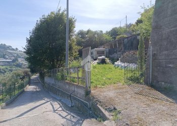 Terreno agricolo Via Privata Rio Massè, Sanremo - foto 4