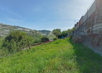 Terreno agricolo Via Privata Rio Massè, Sanremo - foto 11