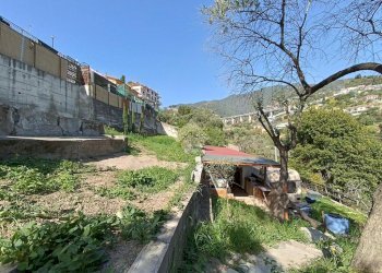 Terreno agricolo Via Privata Rio Massè, Sanremo - foto 19