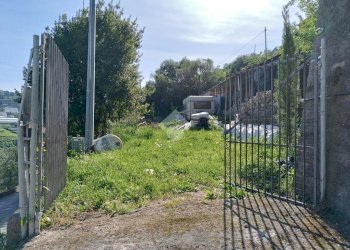Terreno agricolo Via Privata Rio Massè, Sanremo - foto 25
