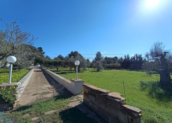 9.jpg - Villa Via B. Ravenna 49, Gallipoli - foto 9