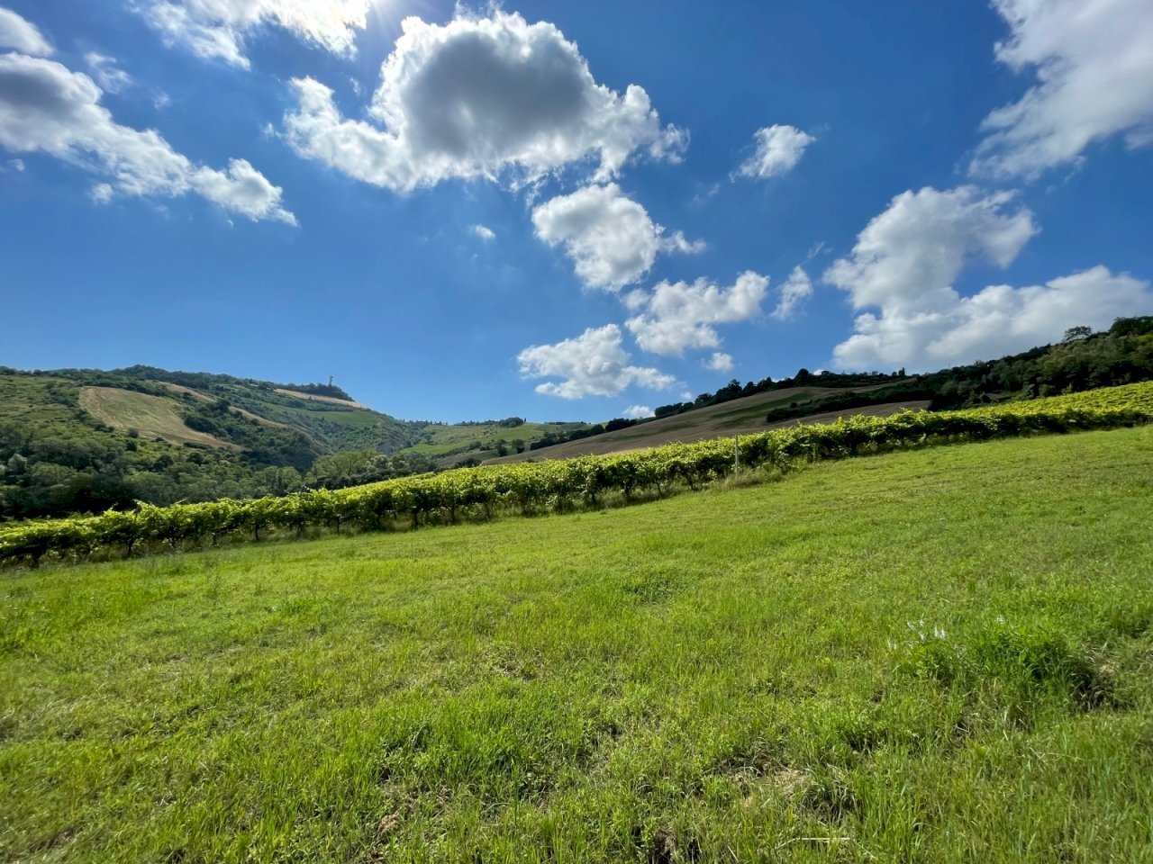 15 DI LEO IMMOBILIARE VENDE CASOLARE NUOVO A RIPAT - Casale Ripatransone - photo 2
