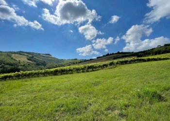 15 DI LEO IMMOBILIARE VENDE CASOLARE NUOVO A RIPAT - Casale Ripatransone - photo 2