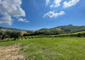 16 DI LEO IMMOBILIARE VENDE CASOLARE NUOVO A RIPAT - Casale Ripatransone - photo 13