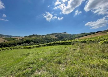 17 DI LEO IMMOBILIARE VENDE CASOLARE NUOVO A RIPAT - Casale Ripatransone - photo 19