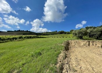 19 DI LEO IMMOBILIARE VENDE CASOLARE NUOVO A RIPAT - Casale Ripatransone - photo 20