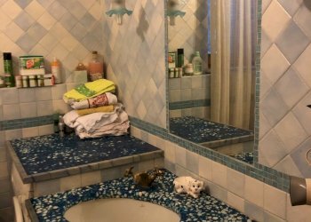 IMG_4537.jpg - Villa Località Capoluogo 10, Maiolo - photo 25