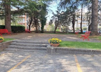 giardino condominiale - Two-room apartment Ceriale - photo 21