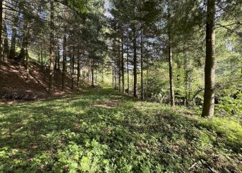 giardino - Villa Via dell'Appennino, Vernio - foto 14