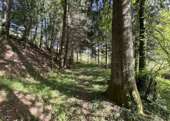giardino - Villa Via dell'Appennino, Vernio - foto 15