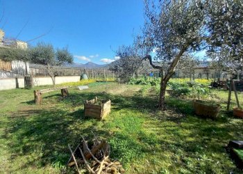 WhatsApp Image 2026-02-21 at 12.23.14 (2).jpeg - Baita Via del Pescheto, Tivoli - foto 5