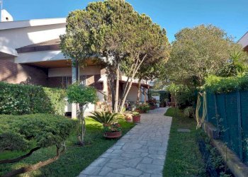 giardino - Independent house Via del Noce 66, Anzio - photo 16