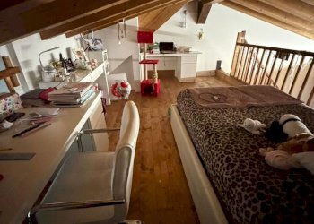 soppalco - Four-room apartment Via Umberto Nobile, Castel San Giovanni - photo 10