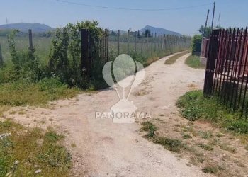 Terreno agricolo Via Adda Partinico, Partinico - foto 3