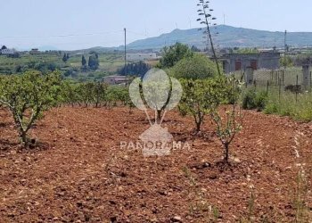 Terreno agricolo Via Adda Partinico, Partinico - foto 13