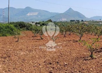 Terreno agricolo Via Adda Partinico, Partinico - foto 15