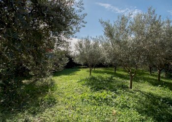 Two-room apartment Vicolo Belvedere, 9 
 Castelli Calepio, Castelli Calepio - photo 17