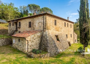 Casale strada provinciale 408, 87, Gaiole in Chianti - foto 31