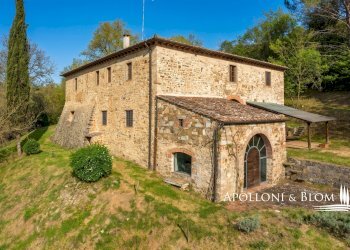 Casale strada provinciale 408, 87, Gaiole in Chianti - foto 32