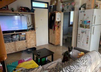 Appartamento Ravenna (zona San Bartolo) - foto 3