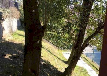 Office Lentate sul Seveso - photo 16