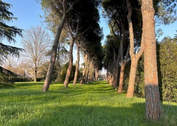 Terreno - Villa Bifamiliare Via del Pino, Ozzano dell'Emilia - foto 2