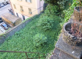 Apartment Corso Firenze, 37, Genova (neighborhood Castelletto) - photo 7