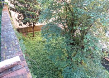 Apartment Corso Firenze, 37, Genova (neighborhood Castelletto) - photo 29