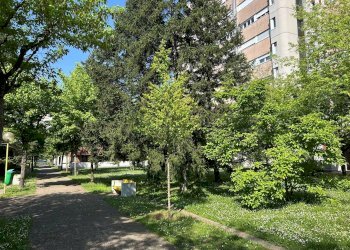 Giardino - Appartamento Via Benedetto Marcello 2/2, Bologna (zona Savena) - foto 1