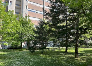 Giardino - Appartamento Via Benedetto Marcello 2/2, Bologna (zona Savena) - foto 3